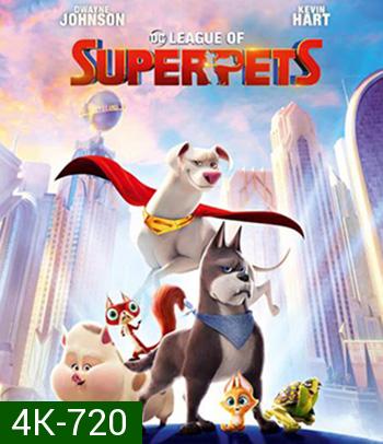 4K - DC League of Super-Pets (2022) ขบวนการซูเปอร์เพ็ทส์ - แผ่นหนัง 4K UHD