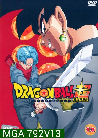 Dragon Ball Super Vol.13  ( )