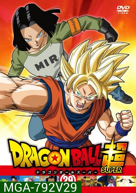 Dragon Ball Super Vol.29  ( )