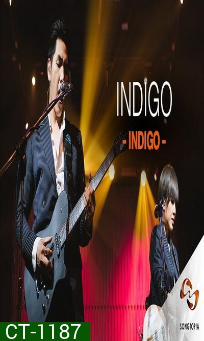 Songtopia Livehouse By AIS PLAY Present FRIENDEVER Colorpitch และ Indigo 