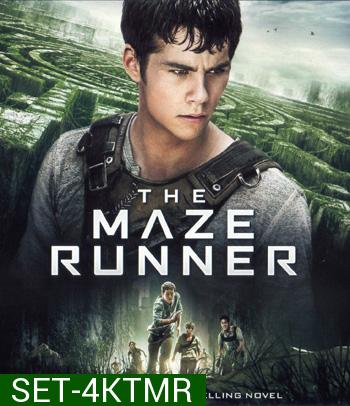 4K The Maze Runner (จัดชุด 2 ภาค)