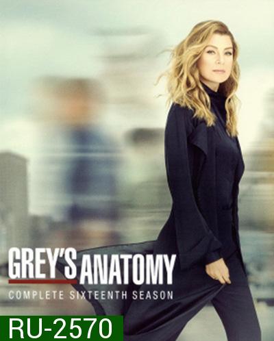 Grey's anatomy Season 16 แพทย์มือใหม่หัวใจเกินร้อย ปี 16 (21 ตอนจบ)