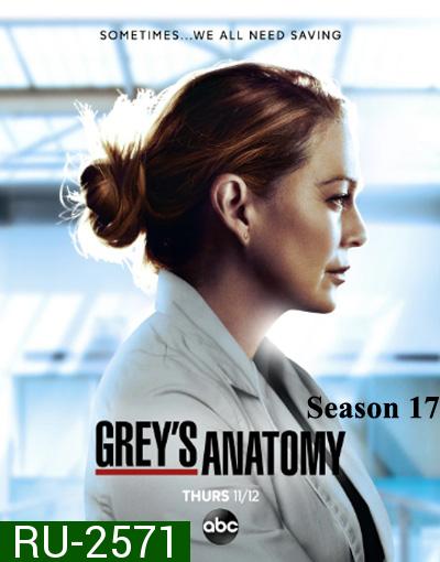 Grey's anatomy Season 17 แพทย์มือใหม่หัวใจเกินร้อย ปี 17 (17 ตอนจบ)