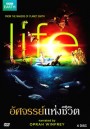 Life อัศจรรย์แห่งชีวิต