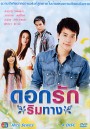 ดอกรักริมทาง