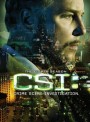 CSI Vegas season 8  ไขคดีปริศนาเวกัส ปี 8