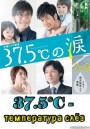 37.5 C no Namida