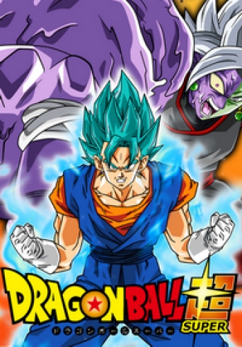 Dragon Ball Super Vol.24