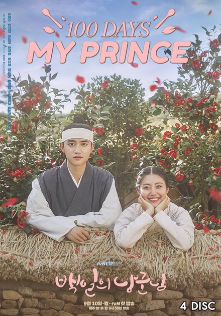 100 Days My Prince ( 16 ตอนจบ )