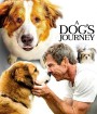 A Dog's Journey (2019) หมา เป้าหมาย และเด็กชายของผม 2