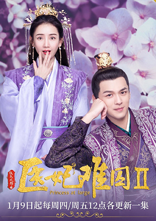 Princess at Large 2 พระชายาลอยนวล 2