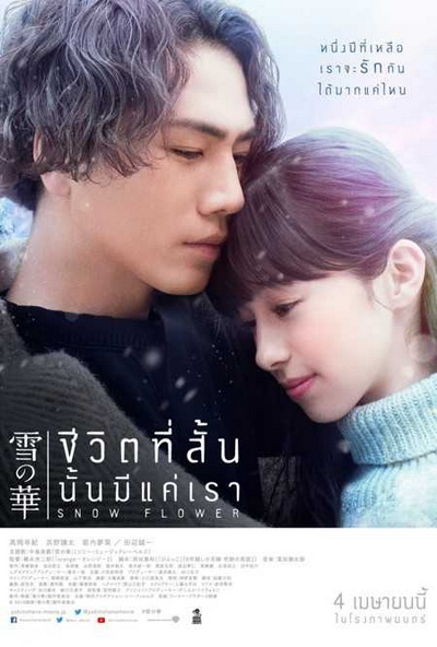 Snow Flower ชีวิตที่สั้นนั้นมีแค่เรา
