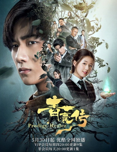 Prodigy Healer (2019) หมออัจฉริยะ ( 36 ตอนจบ )