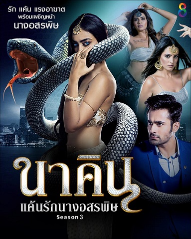 Naagin 3 นาคิน ภาค 3 (19 แผ่นจบ)