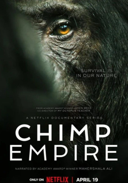 อาณาจักรซิมแปนซี (2023) Chimp Empire