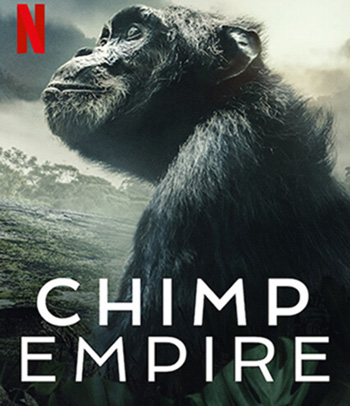 Chimp Empire (2023) อาณาจักรซิมแปนซี