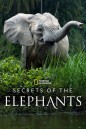 Secrets of the Elephants (2023) 4 ตอน