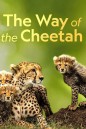 Big Cat Week - The Way of the Cheetah (2022)