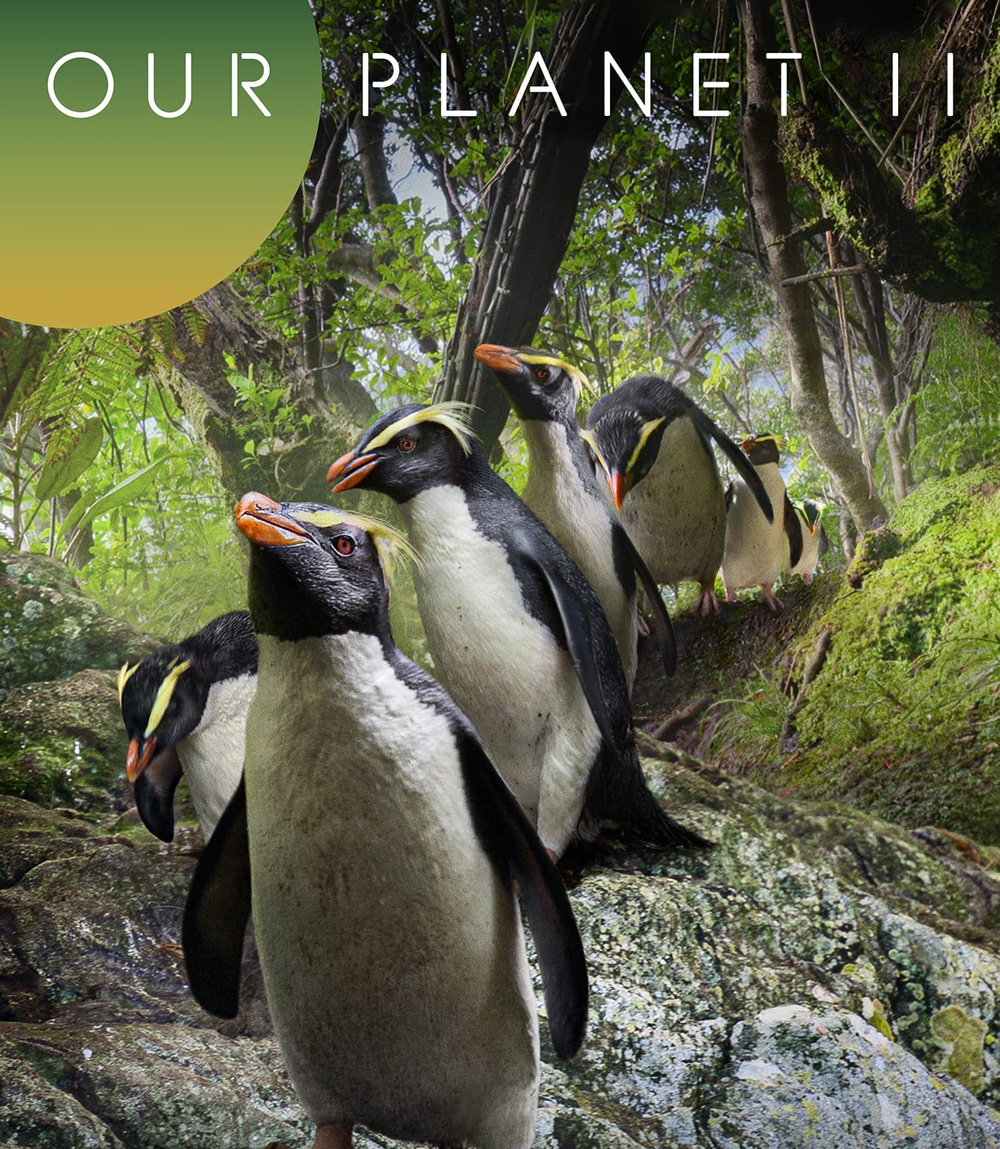 Our Planet (2023) Season 2 (ภาพ HDR)