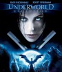 4K - Underworld: Evolution (2006) สงครามโค่นพันธุ์อสูร: อีโวลูชั่น ภาค 2 - แผ่นหนัง 4K UHD