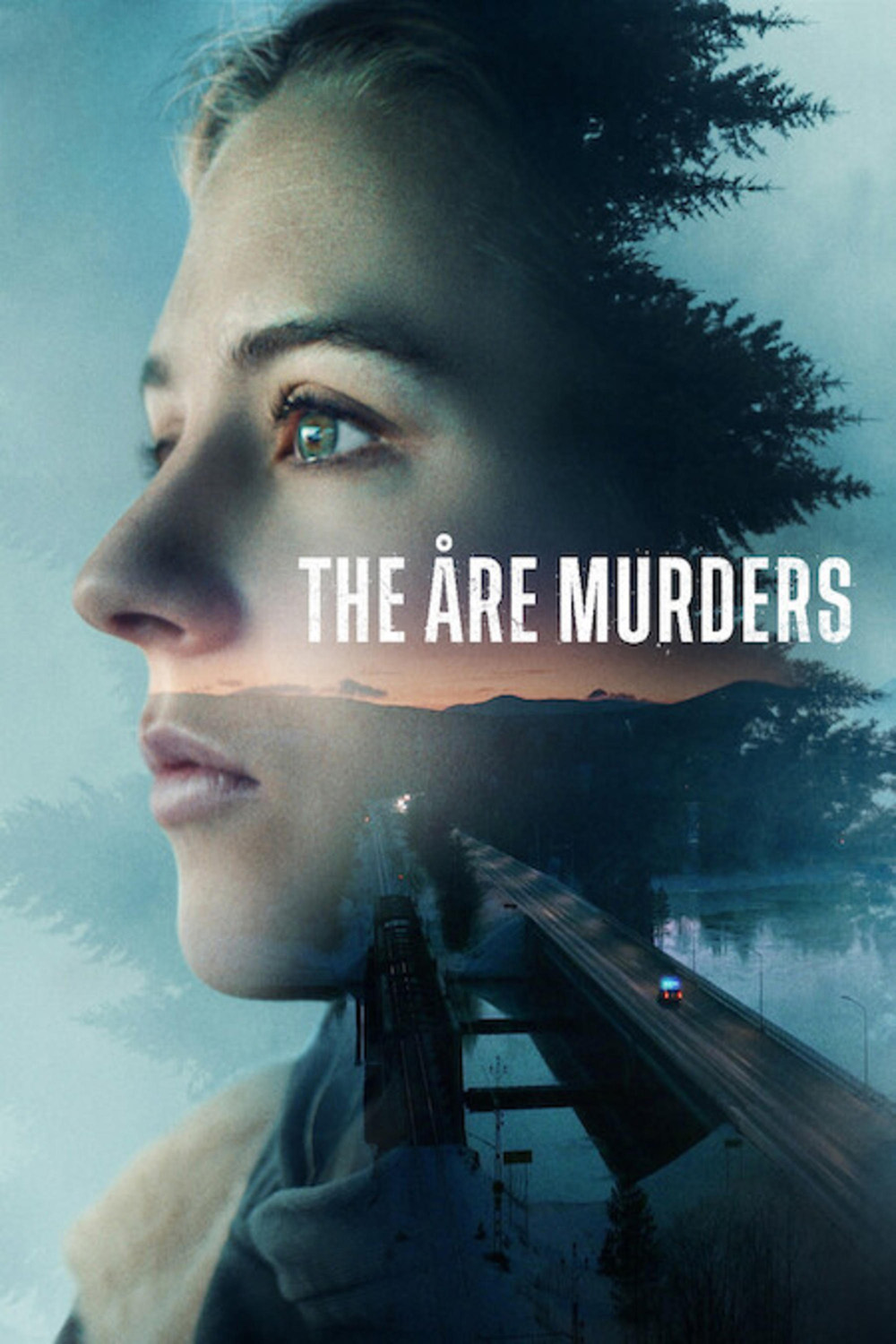 The Are Murders ฆาตกรรมเมืองหิมะ (2025) 5 ตอนจบ