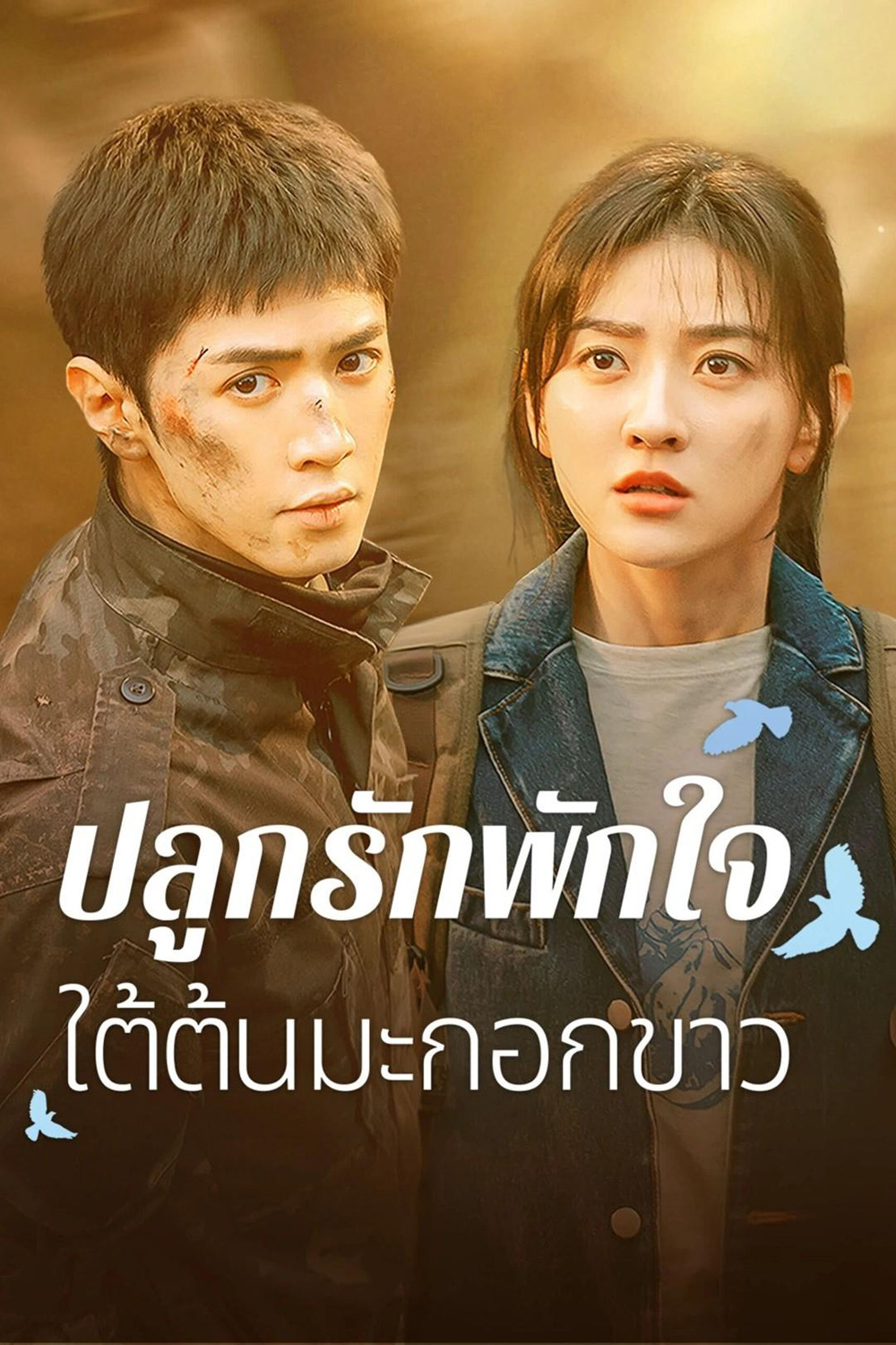 ปลูกรักพักใจ ใต้ต้นมะกอกขาว The White Olive Tree (2025) 38 ตอนจบ