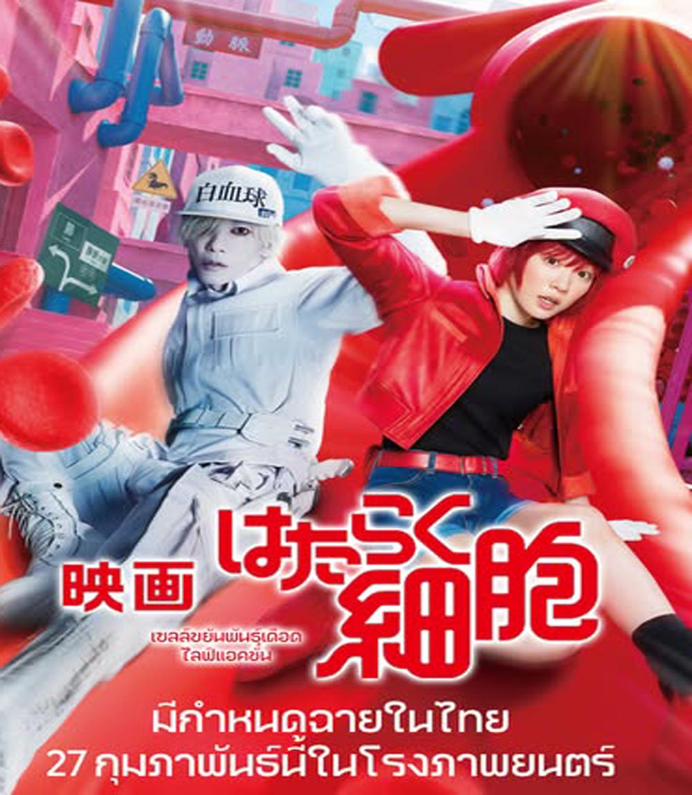 Cells at Work Hataraku Saibou เซลล์ขยันพันธุ์เดือด (2024)