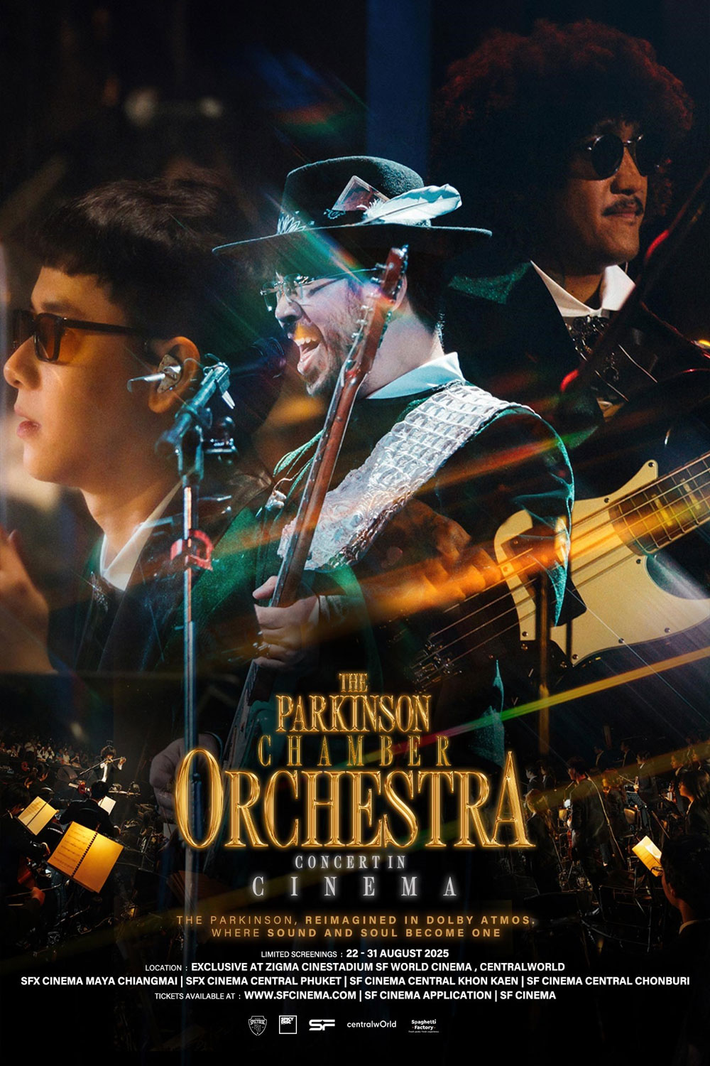 The Parkinson Chamber Orchestra Concert