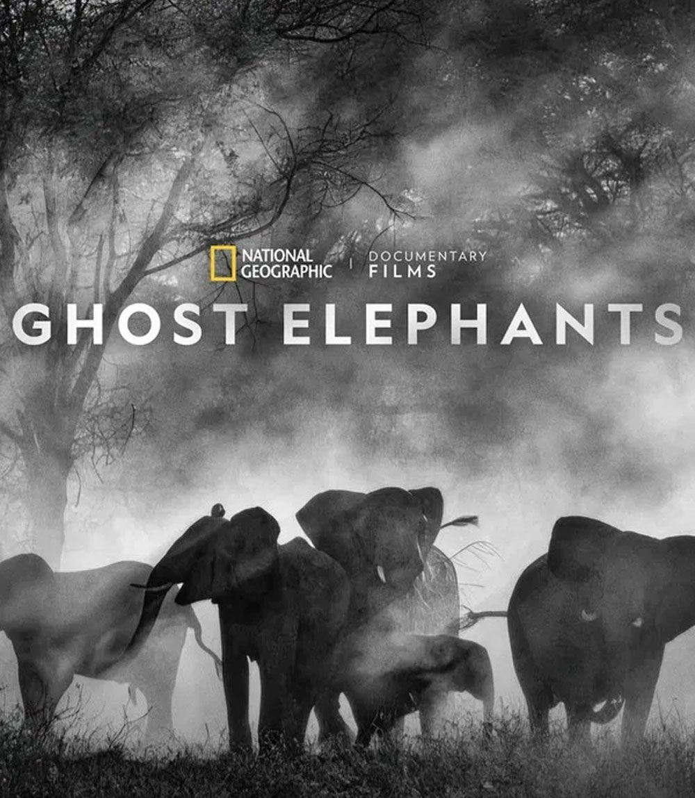 Ghost Elephants (2025)