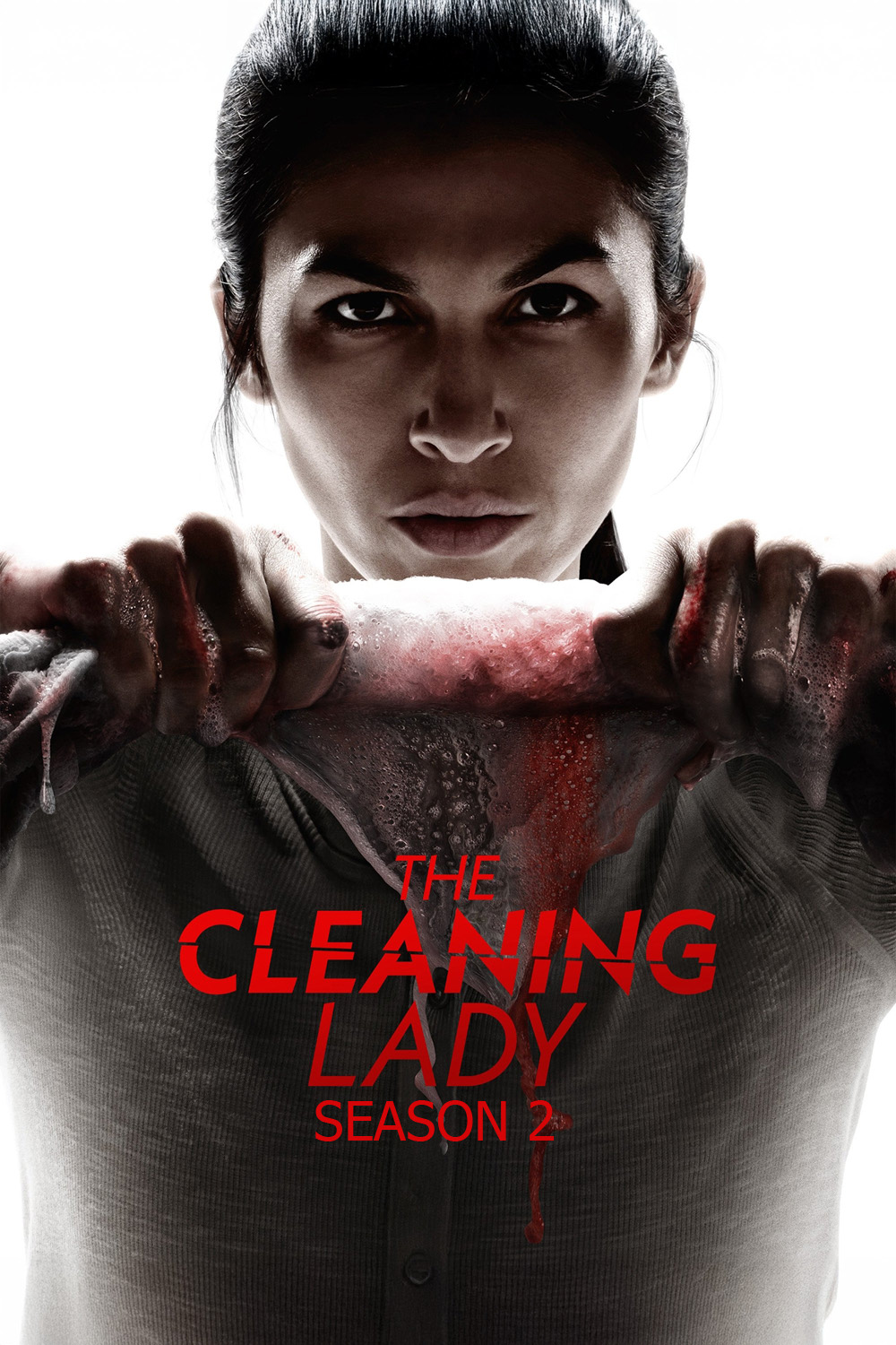 The Cleaning Lady Season 2 (2022) หญิงผู้ล้างรอยเลือด ซีซั่น 2 (12 ตอนจบ)