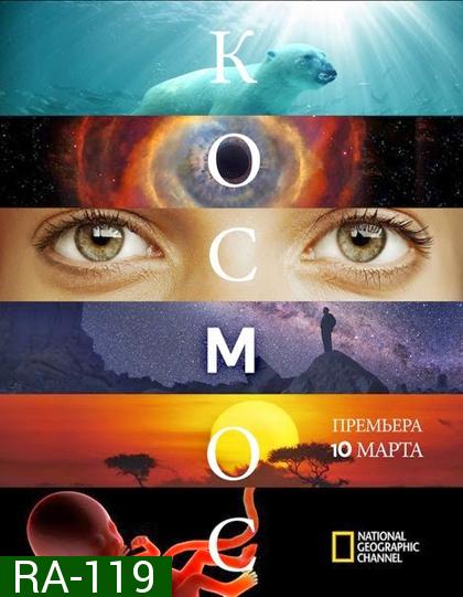 Cosmos A Spacetime Odyssey Season 1