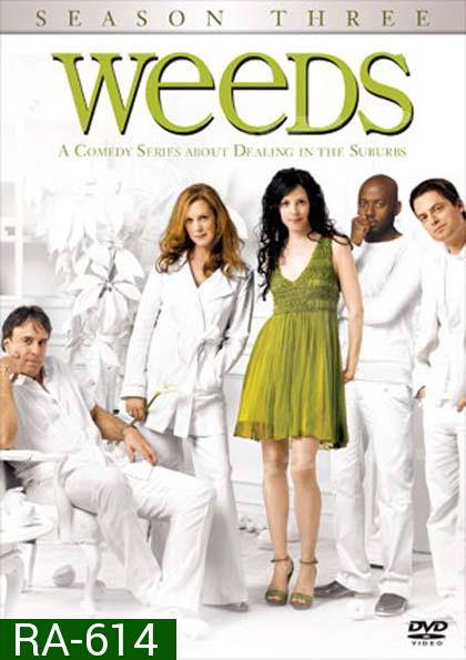 Weeds Season 3 : หม่ายชุลมุน ปี 3