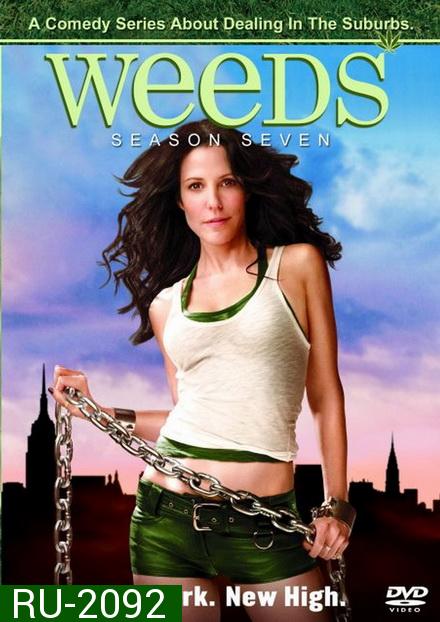 Weeds Season 7 : หม่ายชุลมุน ปี 7