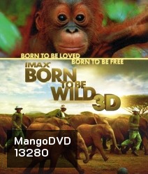 IMAX Born to be wild 3D มหัศจรรย์ชีวิตป่า