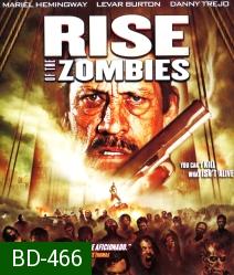 Rise of the Zombies (2012) ซอมบี้คุกแตก