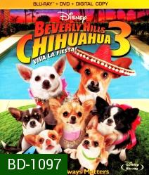 Beverly Hills Chihuahua 3 Viva La Fiesta! คุณหมาไฮโซ โกบ้านนอก 3
