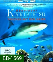 Abenteuer Karibik 3D - Tauchen mit den Haien