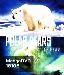 Polar Bears: Ice Bear