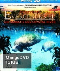 Abenteuer Everglades 3D - Die Manatis des Crystal River