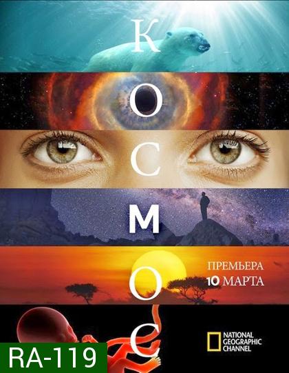 Cosmos A Spacetime Odyssey Season 1