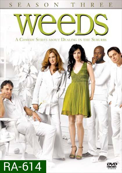 Weeds Season 3 : หม่ายชุลมุน ปี 3