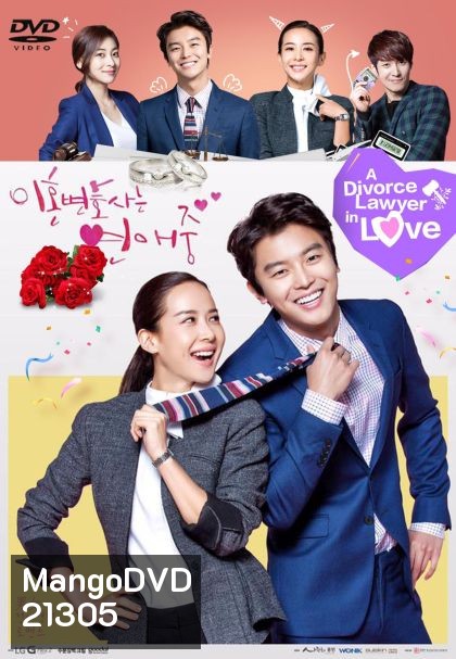Divorce Lawyer in Love