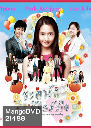 YOURS FATEFULLY ชะตาชีวิต ลิขิตหัวใจ