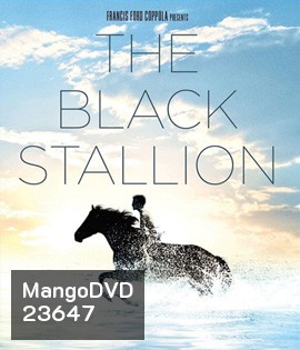 The Black Stallion (1979) อาชาเพื่อนยาก
