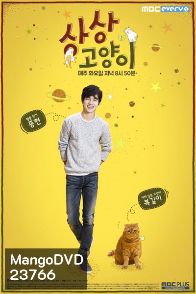 Imaginary Cat