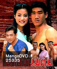 นายขนมต้ม (2538) (22 ตอนจบ)
