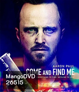 Come and Find Me (2016) ยิ่งหา ยิ่งหาย