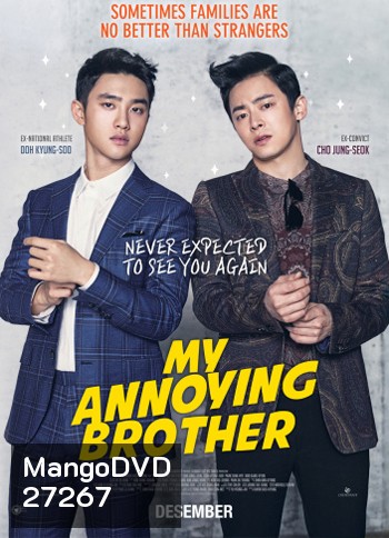 My Annoying Brother