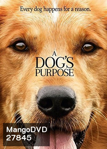 A Dog's Purpose หมา เป้าหมาย และเด็กชายของผม