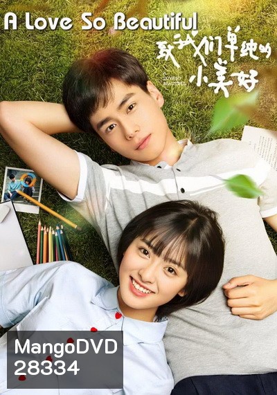 A Love So Beautiful รักนี้มีไว้เพื่อเธอ (23 ตอนจบ)
